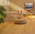 /album/pisos-de-parquet/images-jpg3/