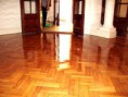 /album/pisos-de-parquet/zparquettarugadog-jpg/